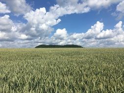 Fields Sky Clouds