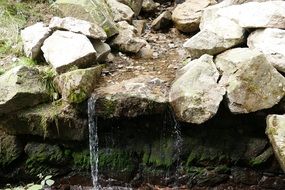 clear Creek streaming on rocky bed
