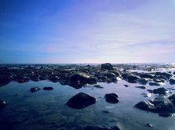 lot of dark stones in water under blue evening sky, Baltic Sea, Germany,
