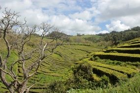 Beautiful landscape of Azores