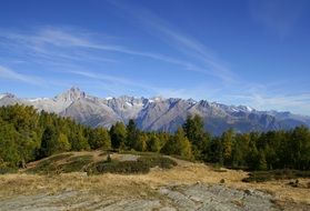 Switzerland mountains and forest on the landscape