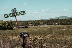 Alpine meadow on a farm in Arkansas
