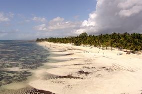 African sand beach on a sunny day