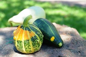green orange Pumpkin