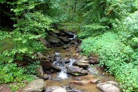 Waterfall, Creek