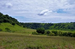 scenic summer landscape