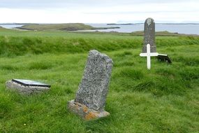 cemetery on the green coast of iceland