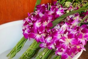 many bouquets of pink wild orchids