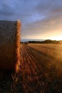 summer straw farm