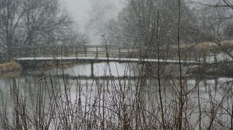 snowy day in winter