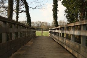 Wooden Passage beneath trees in countryside