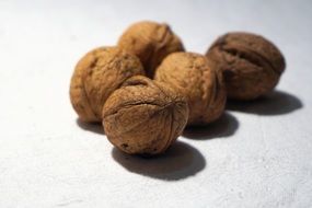 Picture of the Walnuts