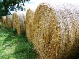 unmatched Straw Bales