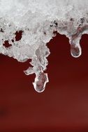 frozen crystals of water close up