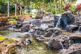 Waterfall Garden Rocks