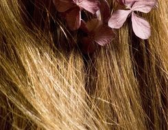 flowers in the blonde hair