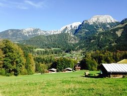 Alm Bavaria Pasture