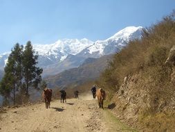 Road on the mountains in Bolivia