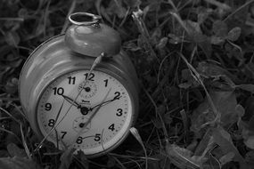 old alarm clock in grass in black and white image