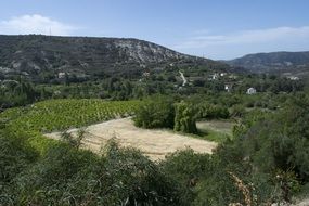 Greek Summer