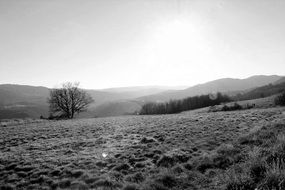 black and white photo of a winter countryside in Ardeche