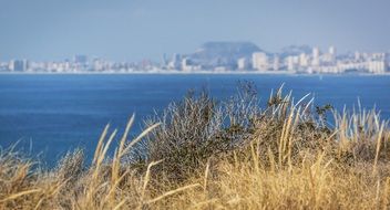 Cliff Bay