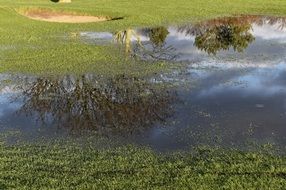 large puddle on the golf course