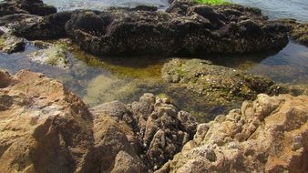 stone coast in santa catarina in brazil
