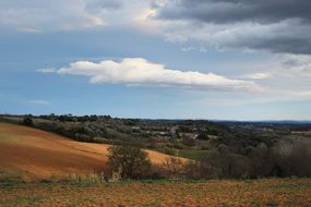 rural landscape of agricultural fields