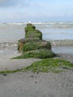 Beach of Baltic Sea in summer