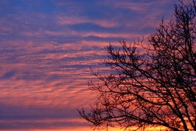 Wood Sunrise