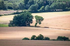 Colorful trees and colorful fields in shadow and light on the landscape