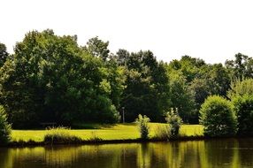 picturesque coast near the pond on a sunny day