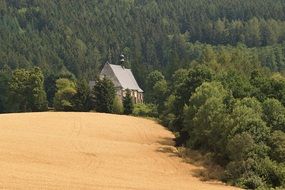 old Church in green Forest at golden field, Landscape