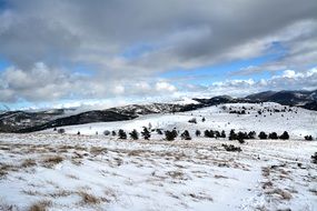 picturesque and pretty Snow Winter landscape