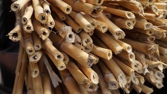 bunch of dry bamboo