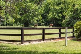 cemetery near the corral with horses