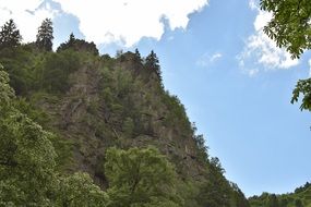 sky in white clouds above rocks in trees