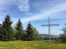 landscape of cross in the forest on a sunny day