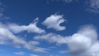 fluffy Clouds in blue Sky Artwork