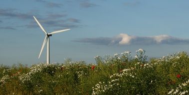 wind turbine on the wild field