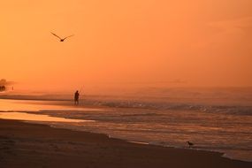 fisherman on coast of ocean