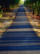 Bicycle Path in the light and shadow in autumn