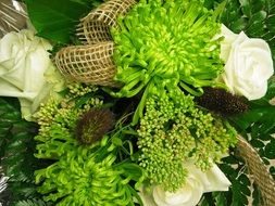 bouquet of chrysanthemums