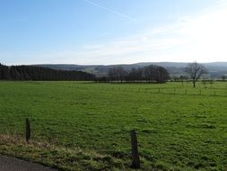 distant Mountains behind fenced pasture, belgium