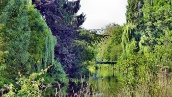 picturesque park is reflected in the river in wachtendonk