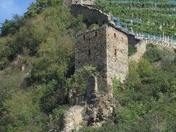 panorama of the Danube valley in Austria