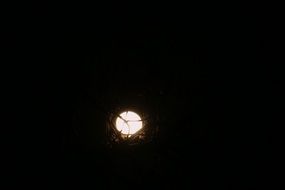 Landscape of Moonlight