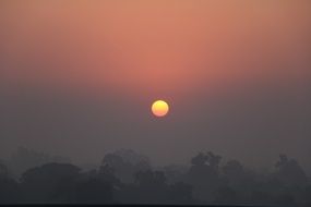 rising sun over the silhouettes of trees