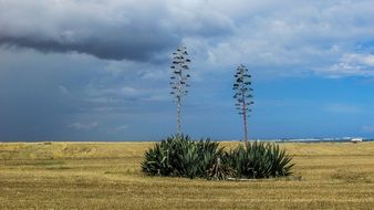 countryside of perivolia